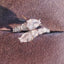 2024 New Arrival Unique Design Silver Color Adjustable Fashion Ring for Women Valentine's Day Gift Jewelry R8405